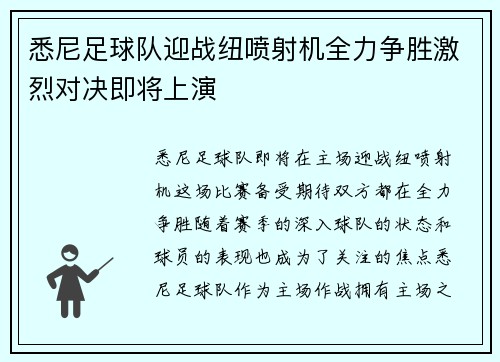 悉尼足球队迎战纽喷射机全力争胜激烈对决即将上演