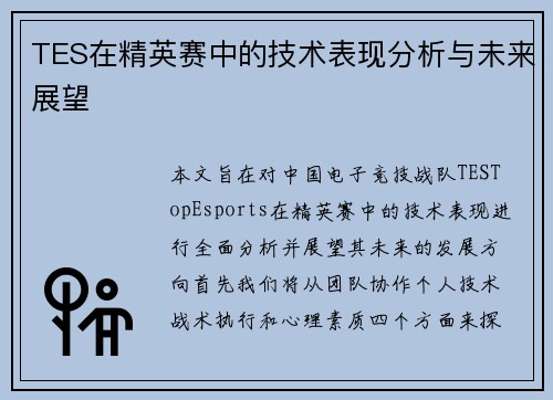 TES在精英赛中的技术表现分析与未来展望